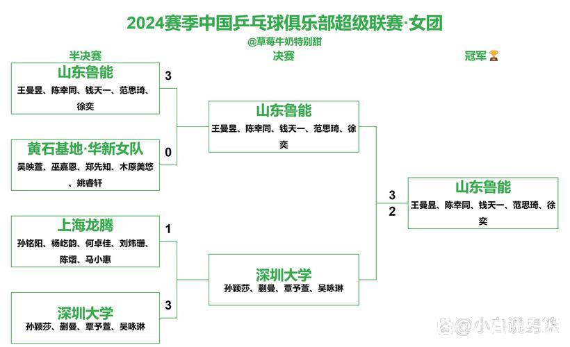乒超联赛女团决赛:深圳大学以3-1战胜山东鲁能夺得冠军 乒超联赛女团决赛:深圳大学以3-1战胜山东鲁能夺得冠军