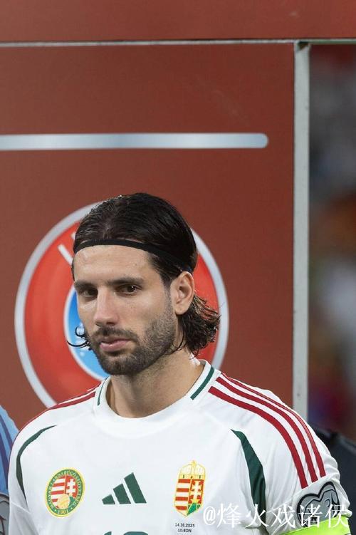 索博斯洛伊打进绝平球 匈牙利2-2战平葡萄牙