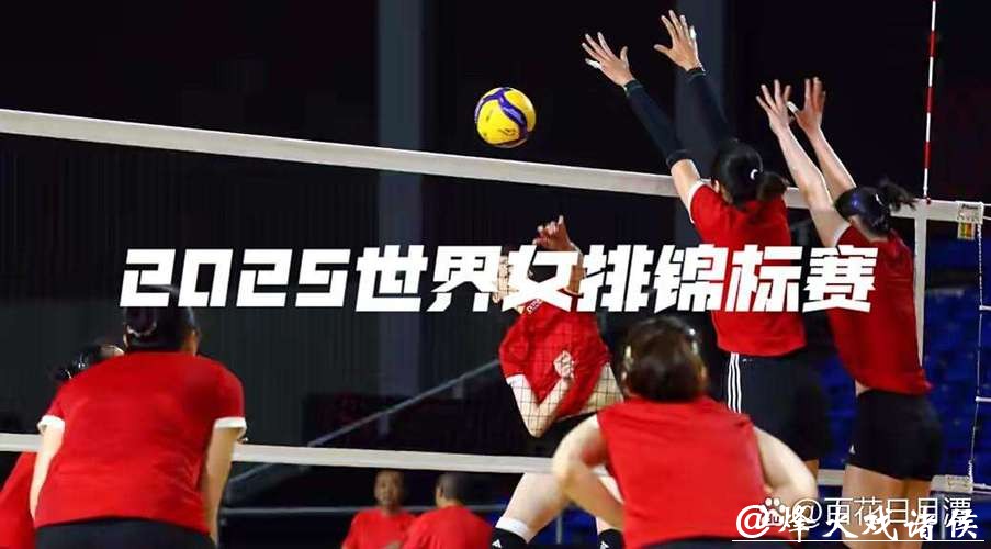全程高清直播：世界杯女排赛精彩对决视频